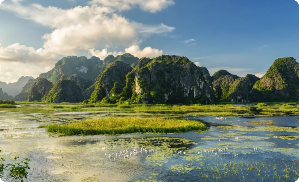 Située dans le district de Gia Vien, à Ninh Binh, la lagune de Van Long est une merveille naturelle sereine et pittoresque. S'étendant sur plus de 3 500 hectares, c'est la plus grande réserve de zones humides du nord du Vietnam.